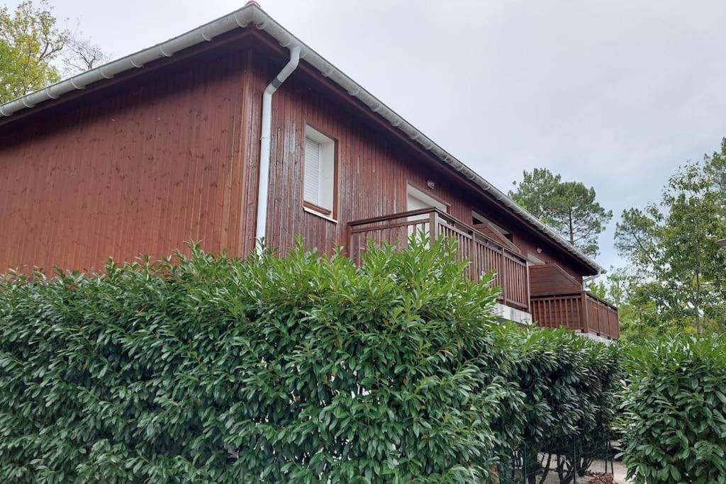 Appartement Cosy Biscarrosse Eksteriør billede
